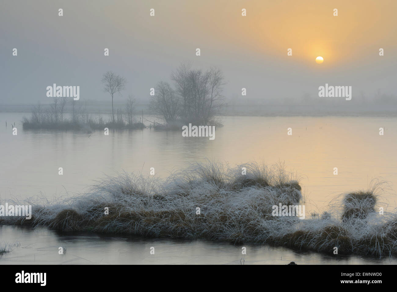 Goldenstedter moor in inverno, Bassa Sassonia, Bassa Sassonia, Germania Foto Stock