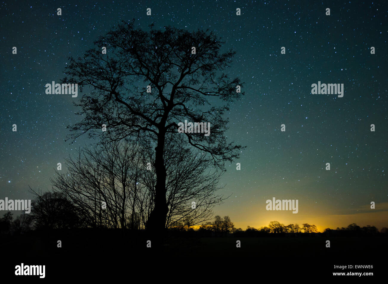 Cielo notturno su oldenburger land, Bassa Sassonia, Germania Foto Stock