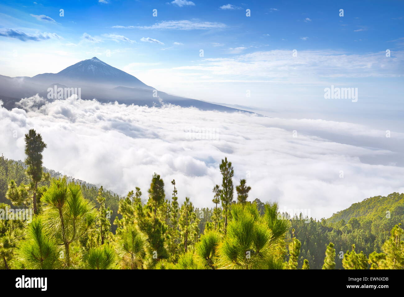 Vulcano Teide Monte sopra il mare di nubi, Tenerife, Isole Canarie, Spagna Foto Stock