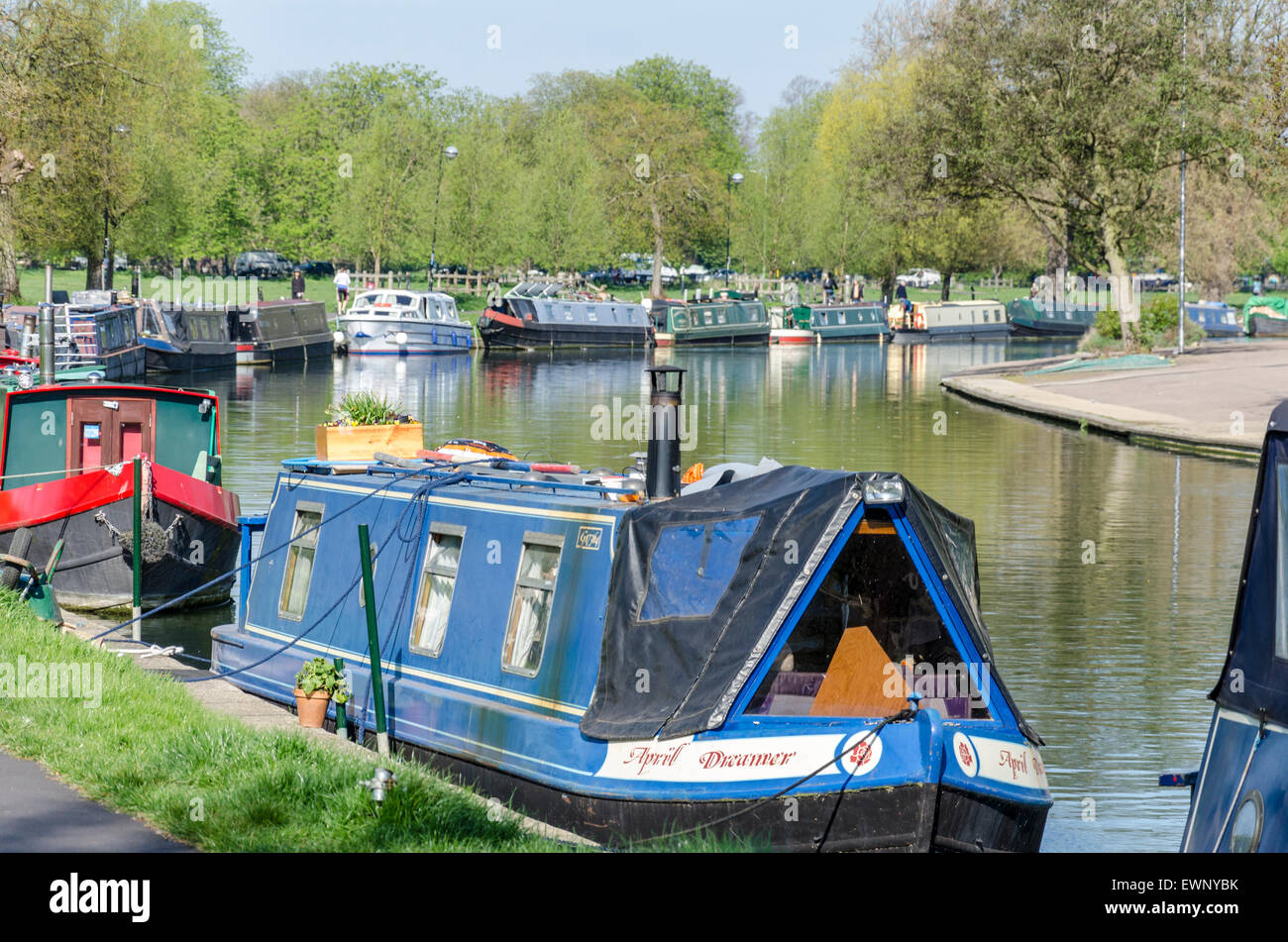 Strette barche ormeggiate sulla riva del fiume Cam, Cambridge, Regno Unito Foto Stock