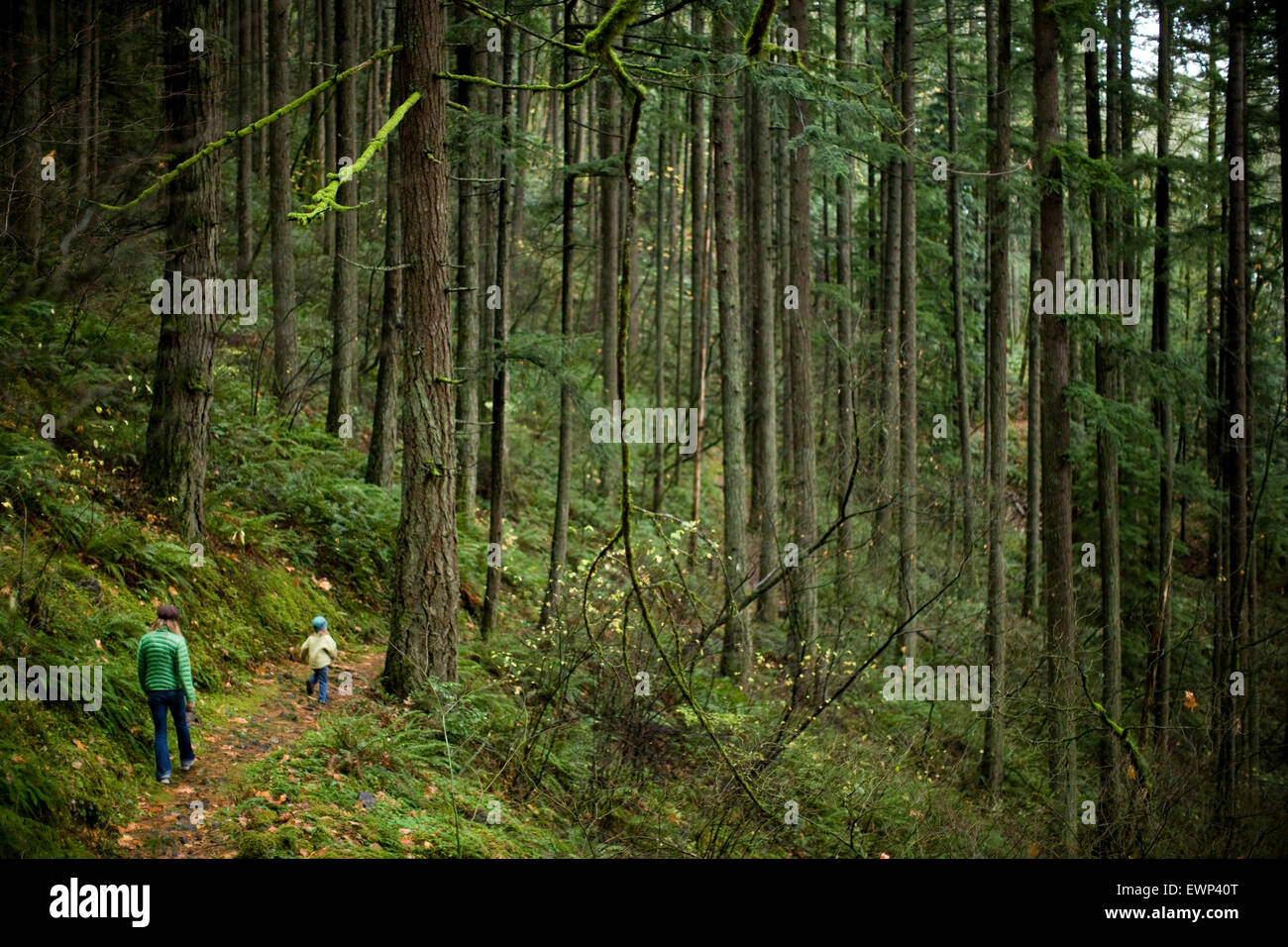 Madre e figlia su una escursione in una foresta pluviale temperata Foto Stock