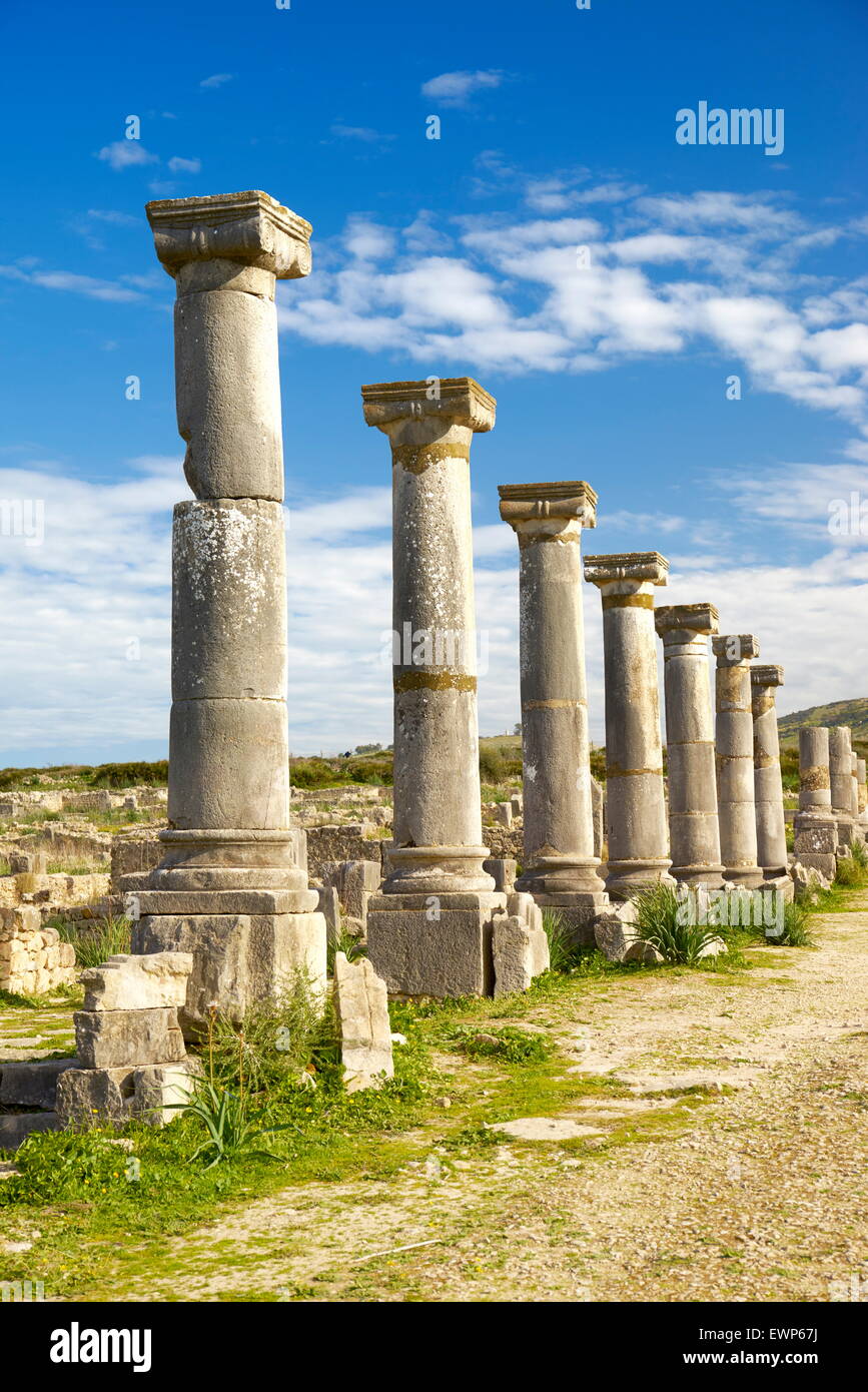 Volubilis, antica città romana in Zerhoun montagne, vicino a Fes. Il Marocco Foto Stock