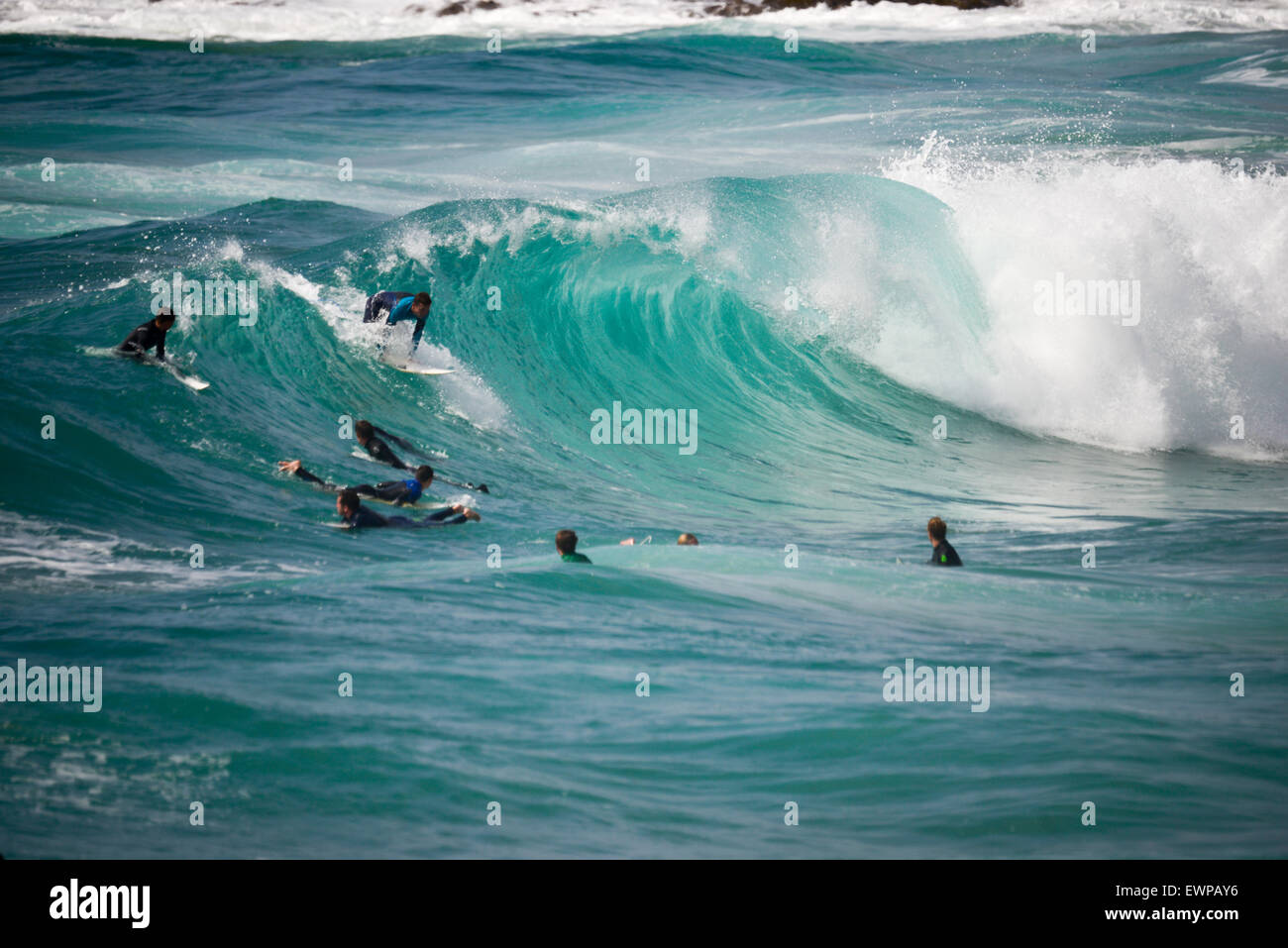 Constantine Bay, Cornwall, Regno Unito. Il 29 giugno, 2015. Surfers godendo UK Estate a Constantine Bay in Cornovaglia, UK. Eccellenti Surf grande spiaggia, Credito: Thomas Owen-Heywood/Alamy Live News Foto Stock