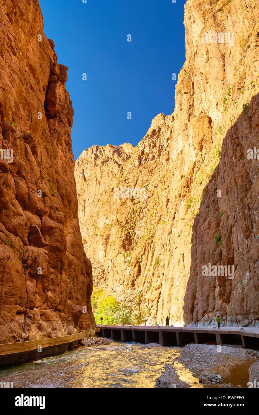 Todra Gorge, naturale burrone vicino Tinerhil. Atlas regione di montagna, Marocco Foto Stock