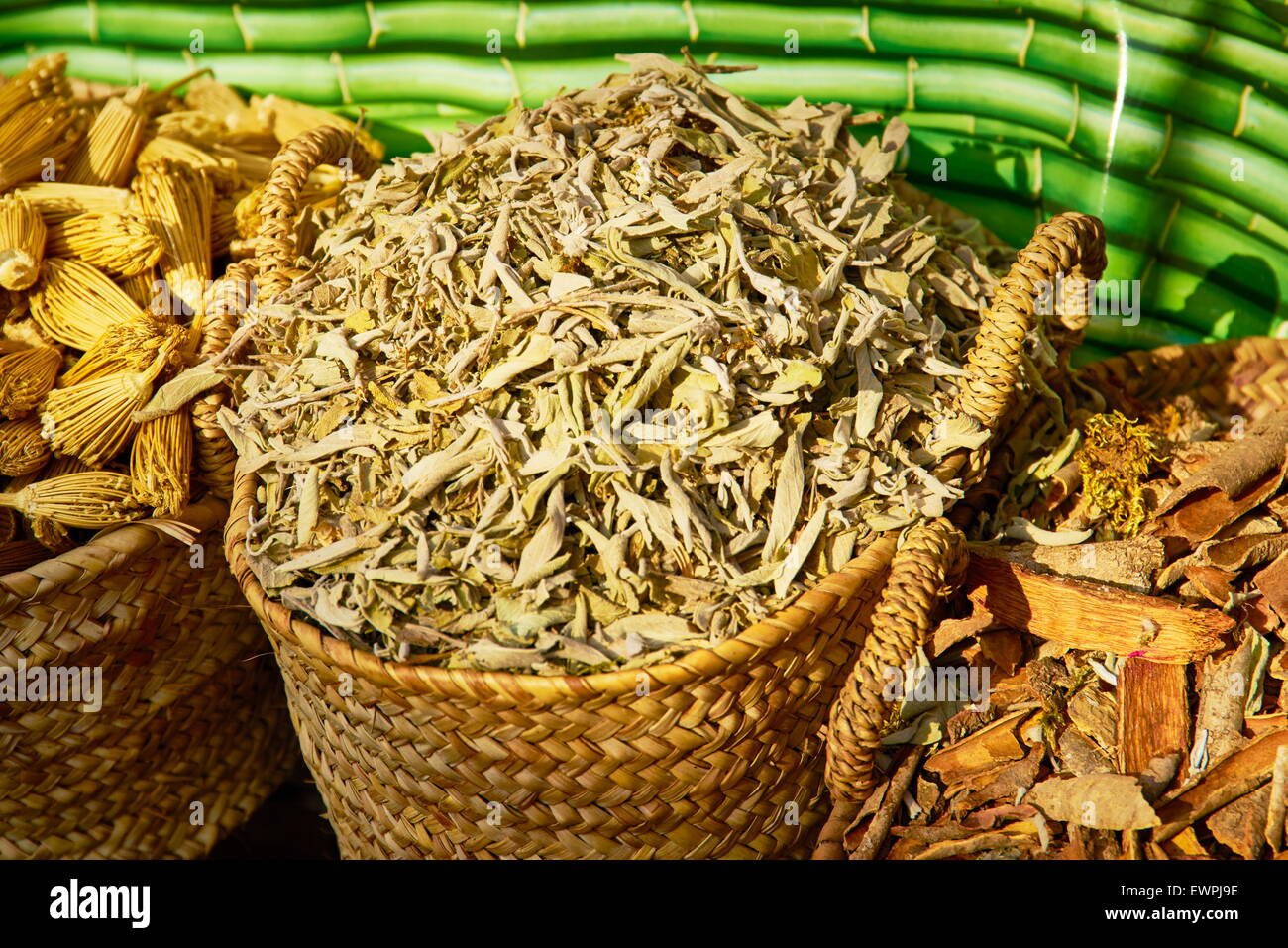 Locale tradizionale di erbe e di spezie, Marocco, Africa Foto Stock