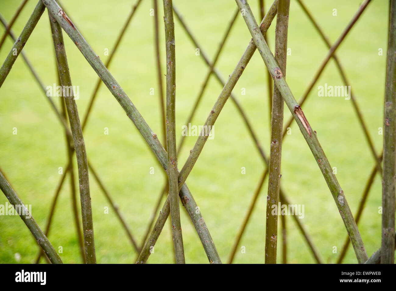 Tessuto di rametti di salice Foto Stock