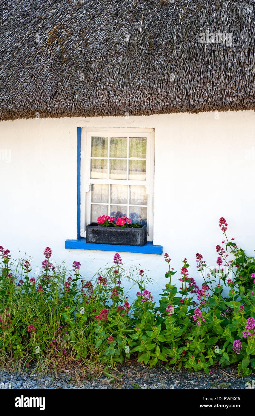 Kilmore Quay village, finestra cottage, Irlanda, Co Wexford, Irlanda meridionale Foto Stock