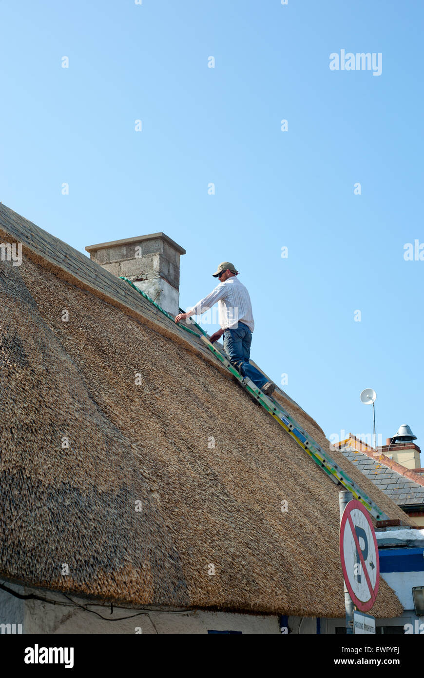Irlanda, County Wexford, Kilmore Quay cottage, (ex casa in legno) Foto Stock