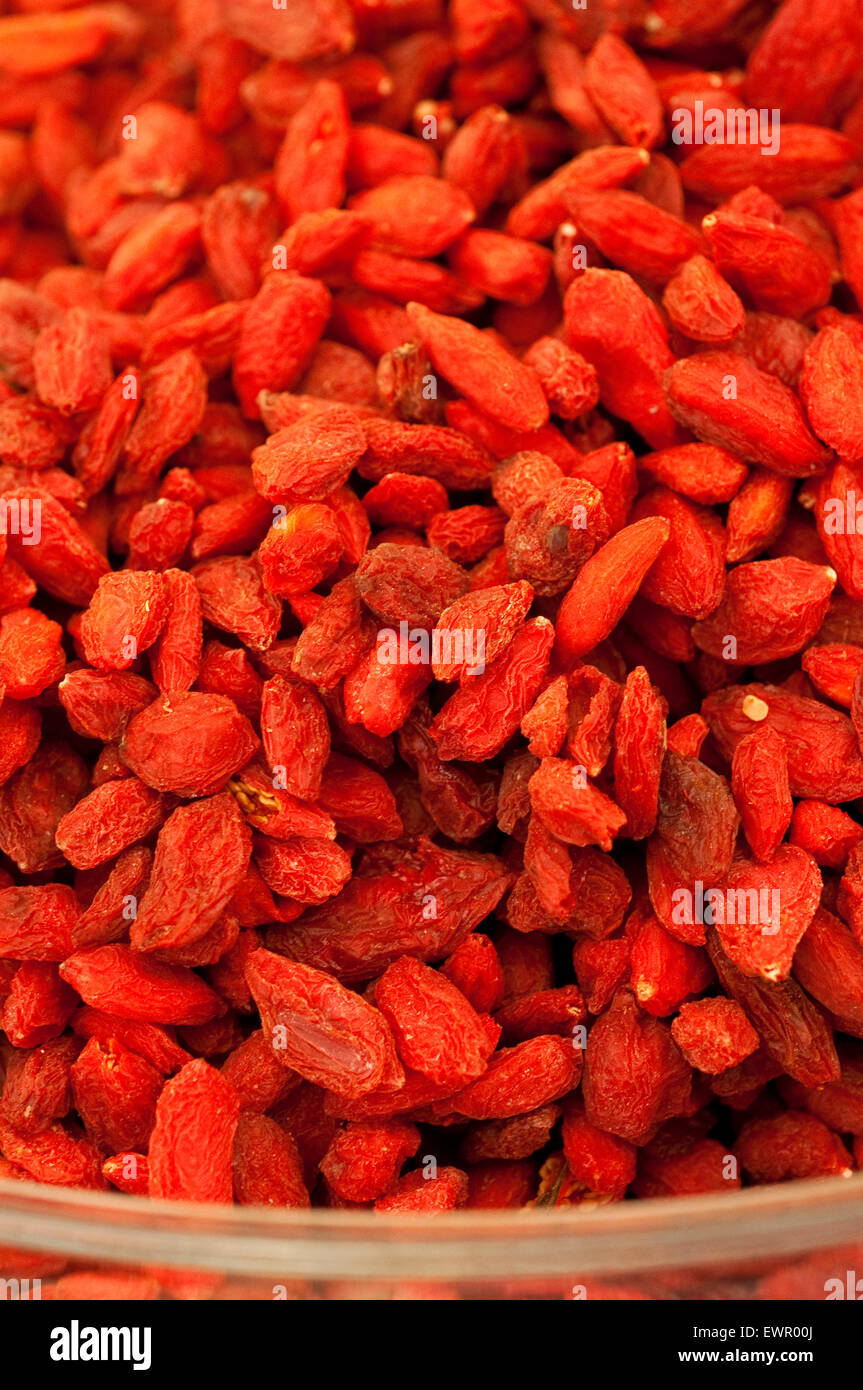 Bacche di Goji, Lycium Barbarum. Foto Stock