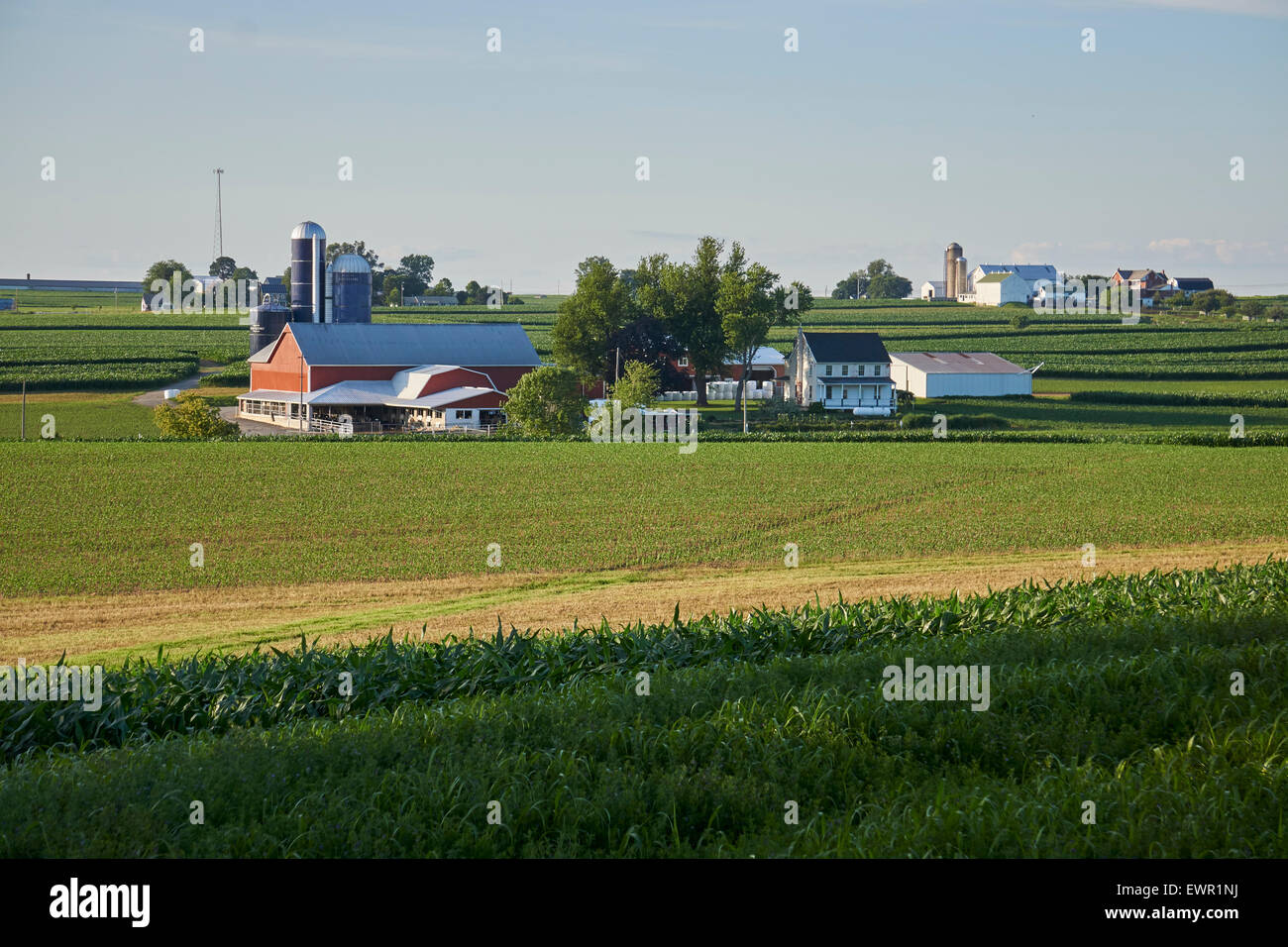 Agriturismo scena, Lancaster County Pennsylvania, STATI UNITI D'AMERICA Foto Stock