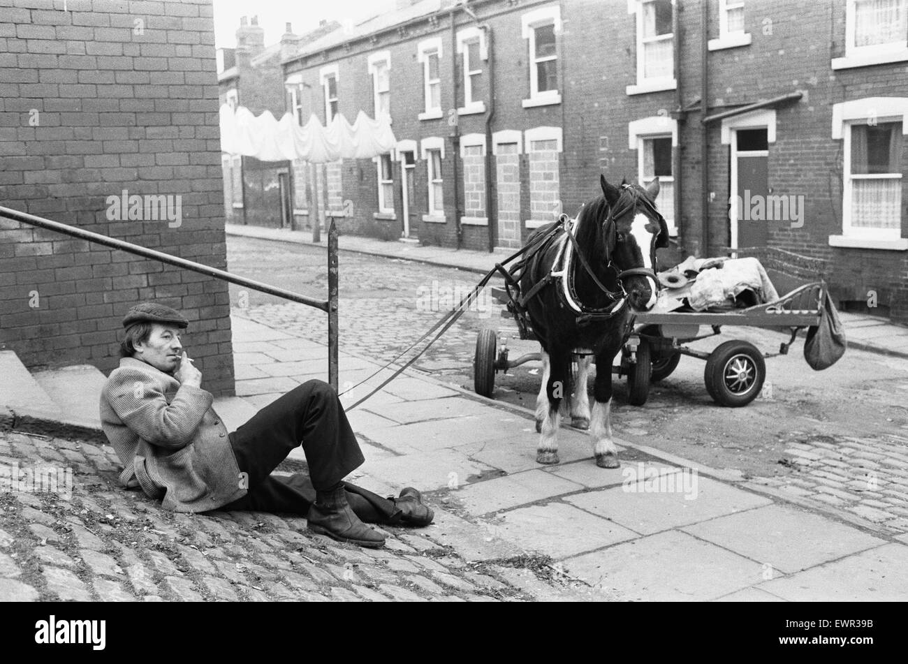 Uno straccio e osso l uomo e il suo cavallo e il carrello si vede qui tenendo il resto di viaggiare per le strade di un ONU-denominato città del nord in cerca di rottami di metallo 1 Febbraio 1982 Foto Stock