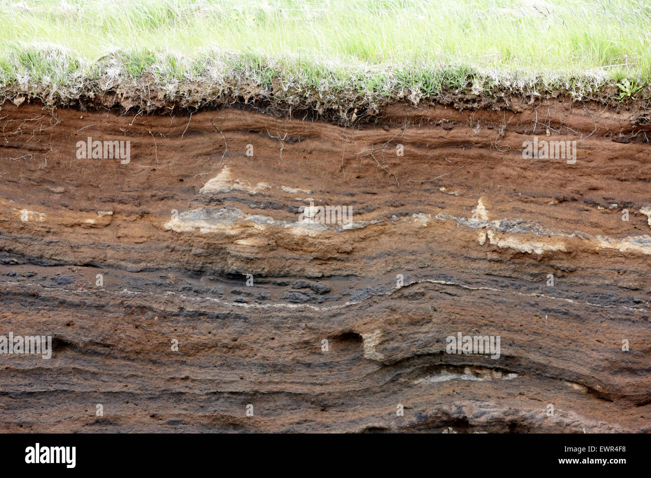 Strati di suolo sezione trasversale compresa la cenere vulcanica Islanda Foto Stock