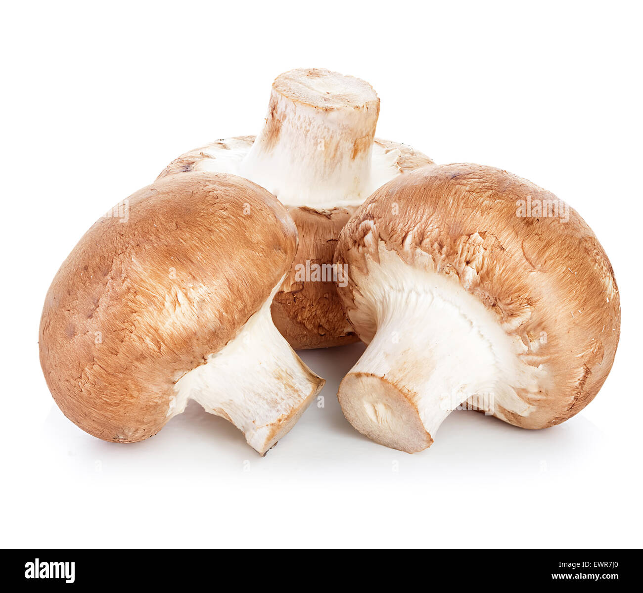 Marrone di funghi champignon Foto Stock