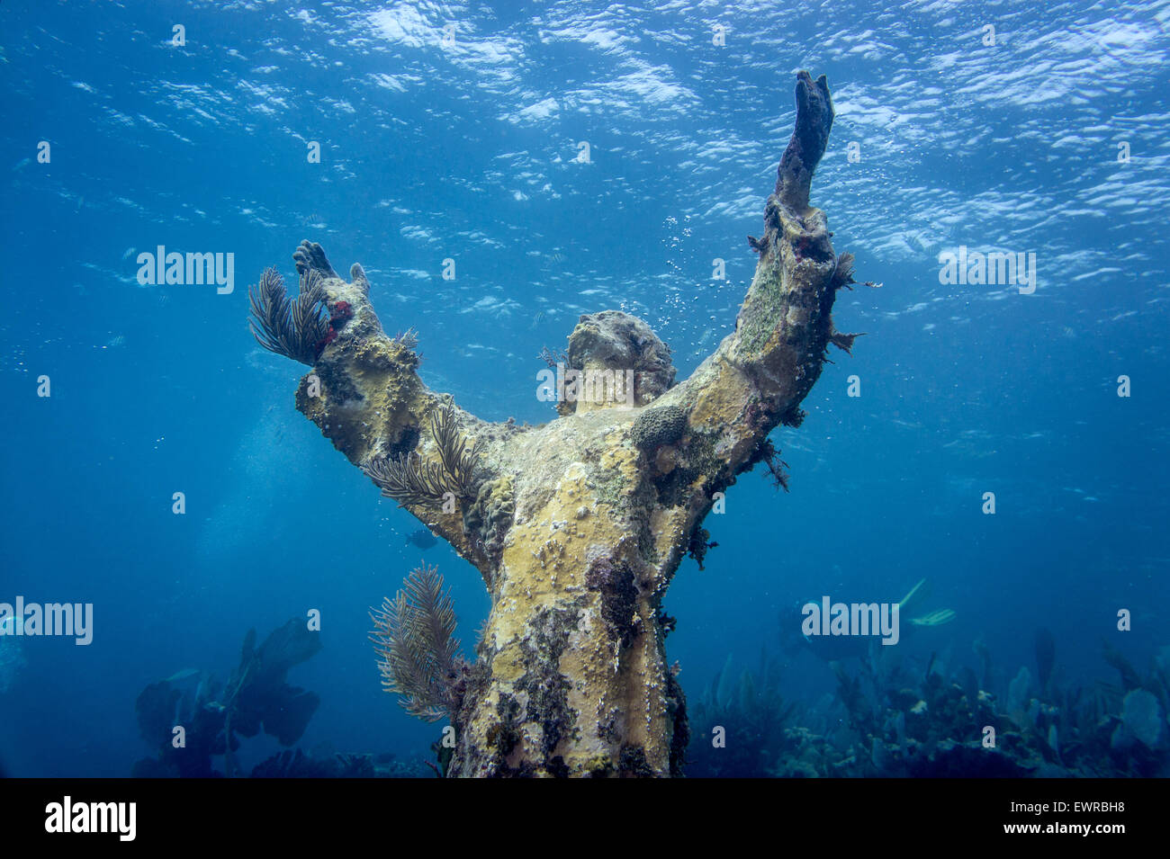 Underwater statua del Cristo degli Abissi, Key Largo, Florida Foto Stock