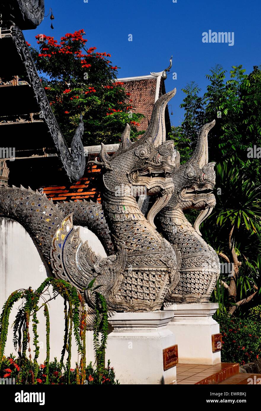 Chiang Mai, Thailandia: pietra scolpita Naga bestie mitiche fiancheggiano l'entrata per il Vihan al Wat Chedi Luang Foto Stock