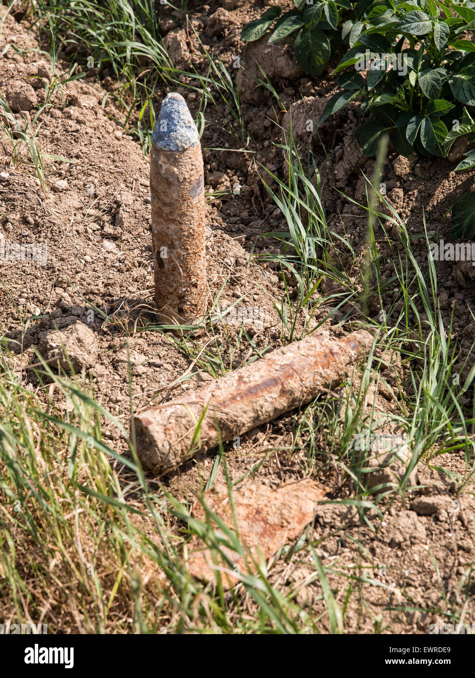 Gusci di artiglieria dalla Grande Guerra giacenti dal lato di un campo in Francia (Shell sulla sinistra è il tedesco, l'altra un mortaio round) Foto Stock