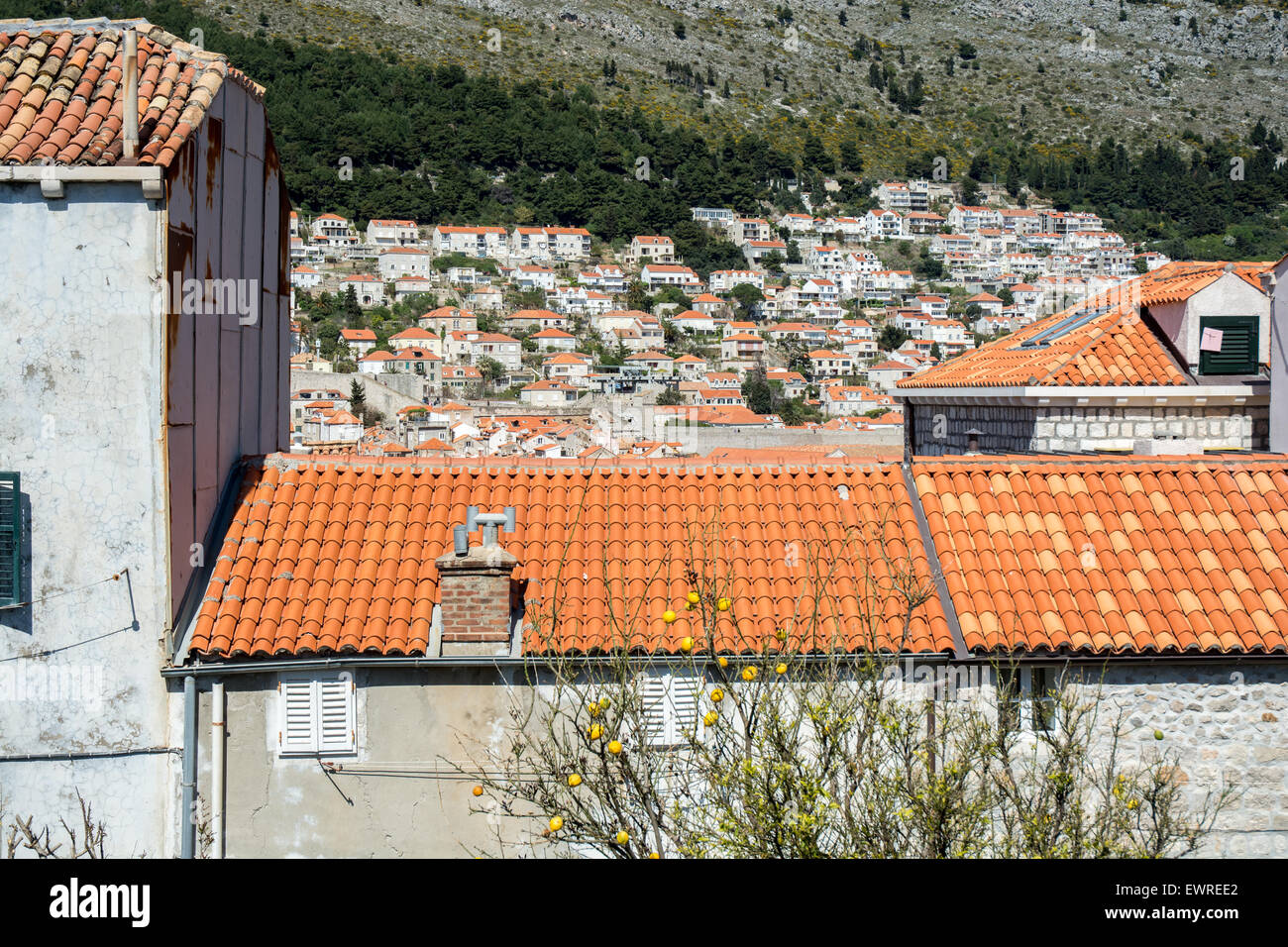Piastrelle colorate di tetti di edifici in città vecchia con gli altri edifici della città in background, Dubrovnik, Croazia Foto Stock