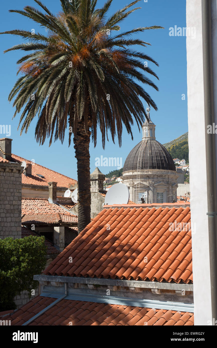 Tetti & Palm tree view con il Duomo e la torre del tesoro,città vecchia di Dubrovnik, Croazia Foto Stock