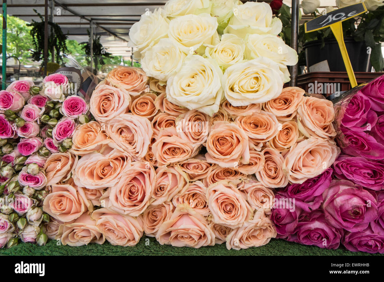 Parigi,Francia,Marché, Aligre,frutta,mercato,all'aperto,Parigi,rose,francese venditore vegetali,,vegetale venditore, Foto Stock