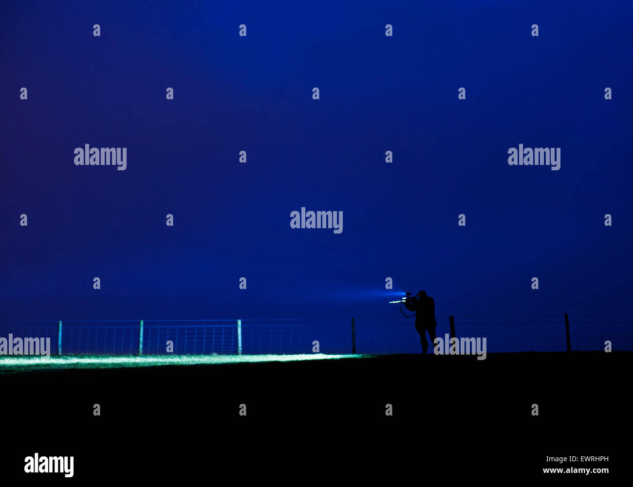 Riprese notturne per i parassiti Foto Stock