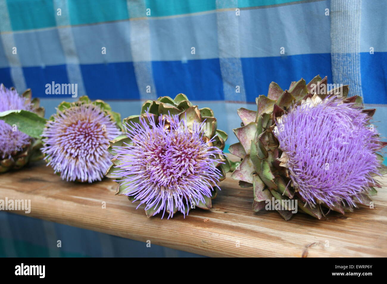 Viola i carciofi su un banco in un mercato agricolo, Francia. Foto Stock