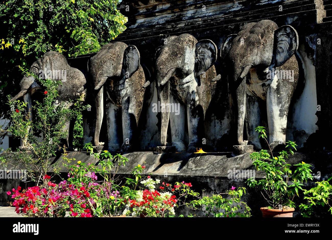 Chiang Mai, Thailandia: una fila di quattro elefanti scolpiti sta alla base di The Chedi a Wat Chiang Mun Foto Stock