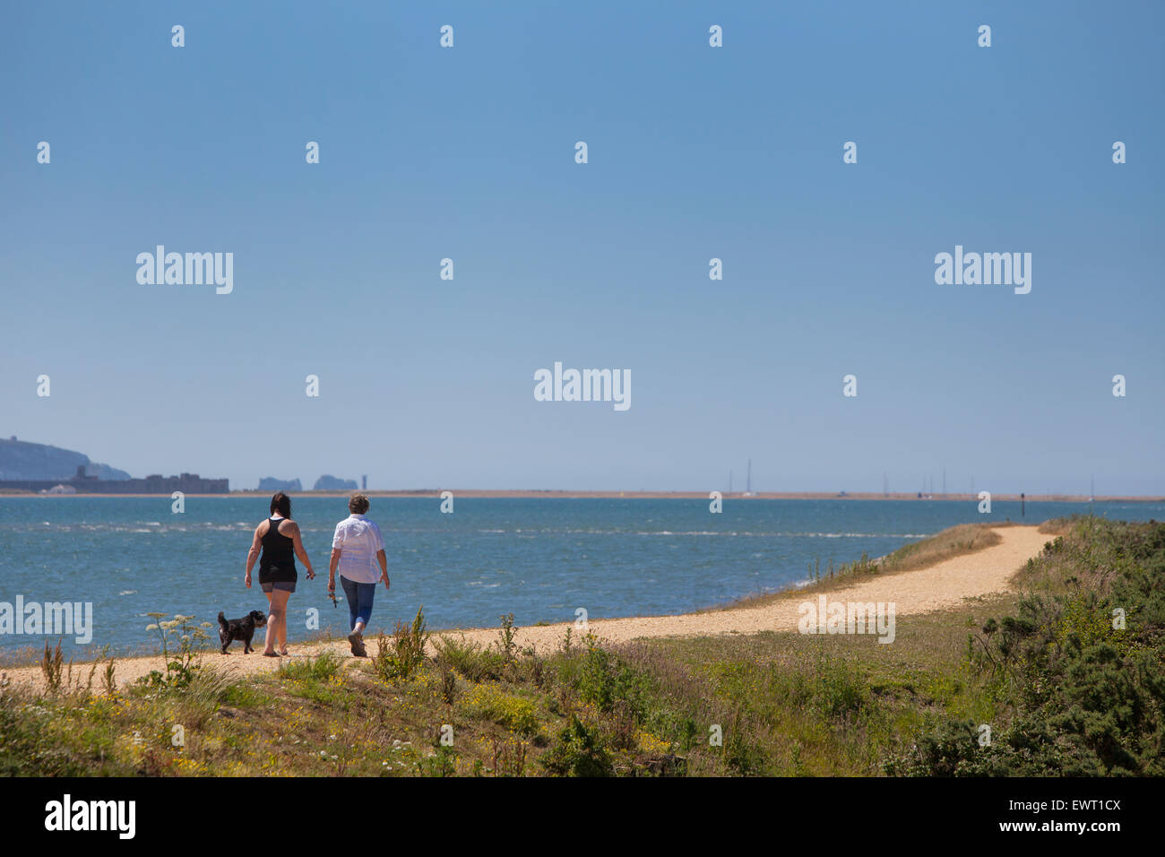 Dog Walkers sul Solent strada tra Lymington e Keyhaven Foto Stock