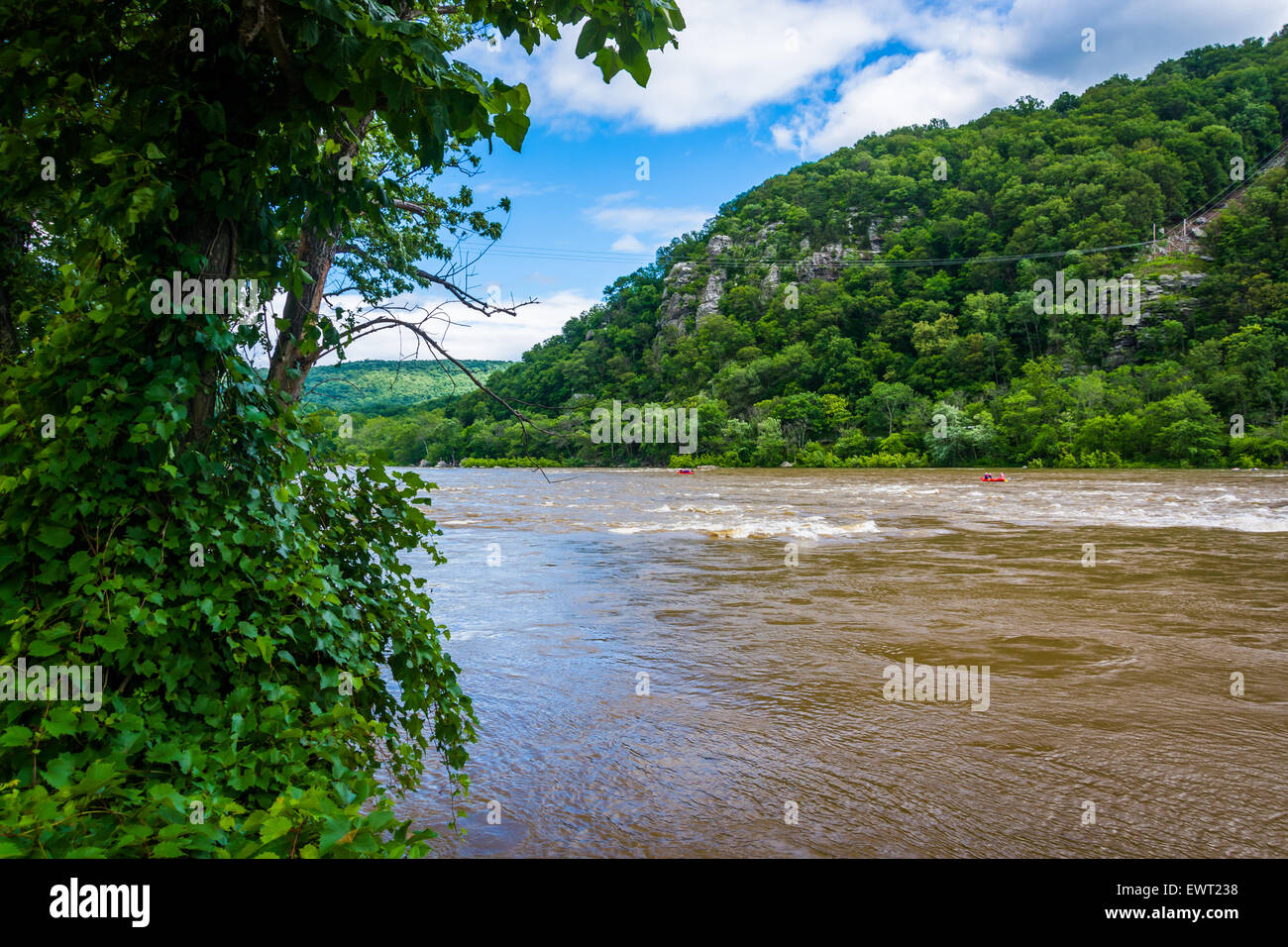 Il fiume Potomac, in harpers Ferry, West Virginia. Foto Stock