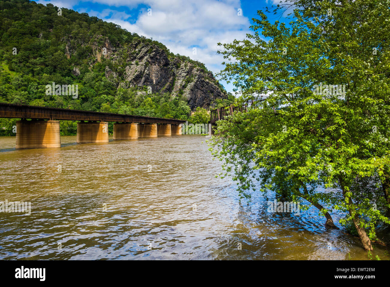 Ferrovia dei ponti che attraversano il fiume Potomac in harpers Ferry, West Virginia. Foto Stock