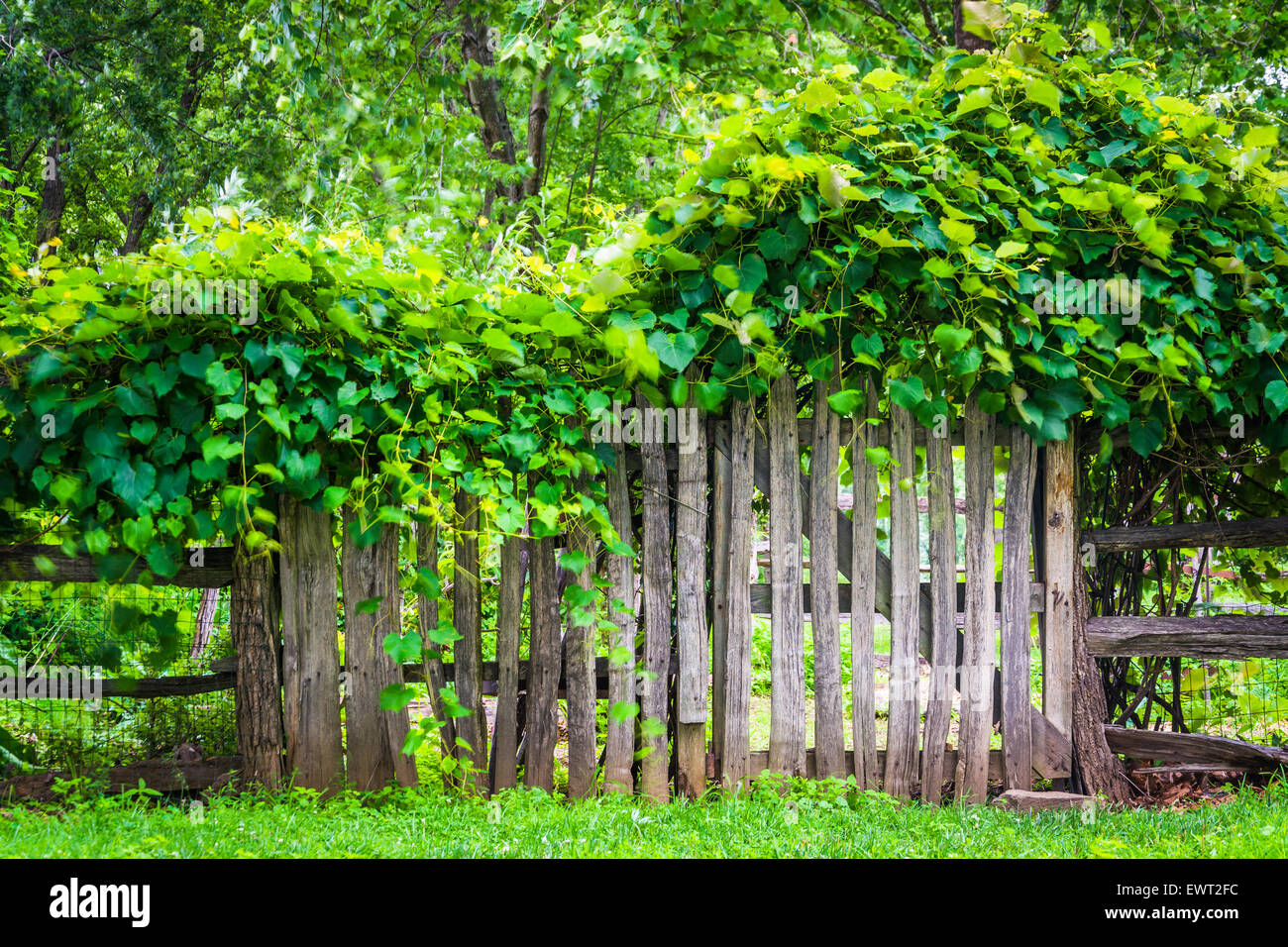Recinzione e cancello intorno a un giardino in harpers Ferry, West Virginia. Foto Stock
