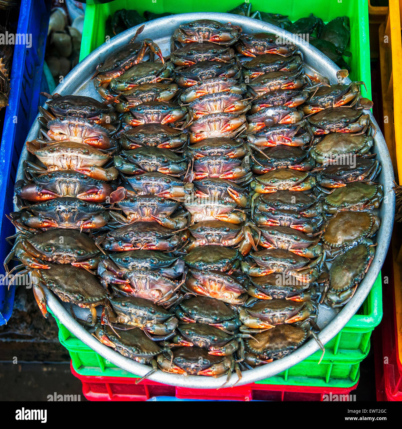 Soft gamberi sgusciati in un cesto in un mercato in Vietnam Foto Stock