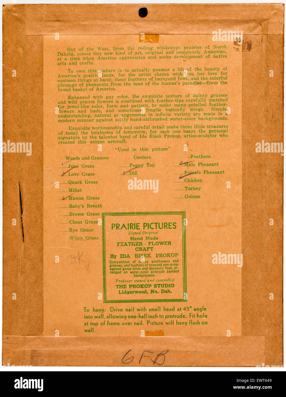 Una descrizione sul retro di una cornice per una collage di piante e le penne degli uccelli per artista Ida Bisek Prokop Lee (1902-1990) Foto Stock