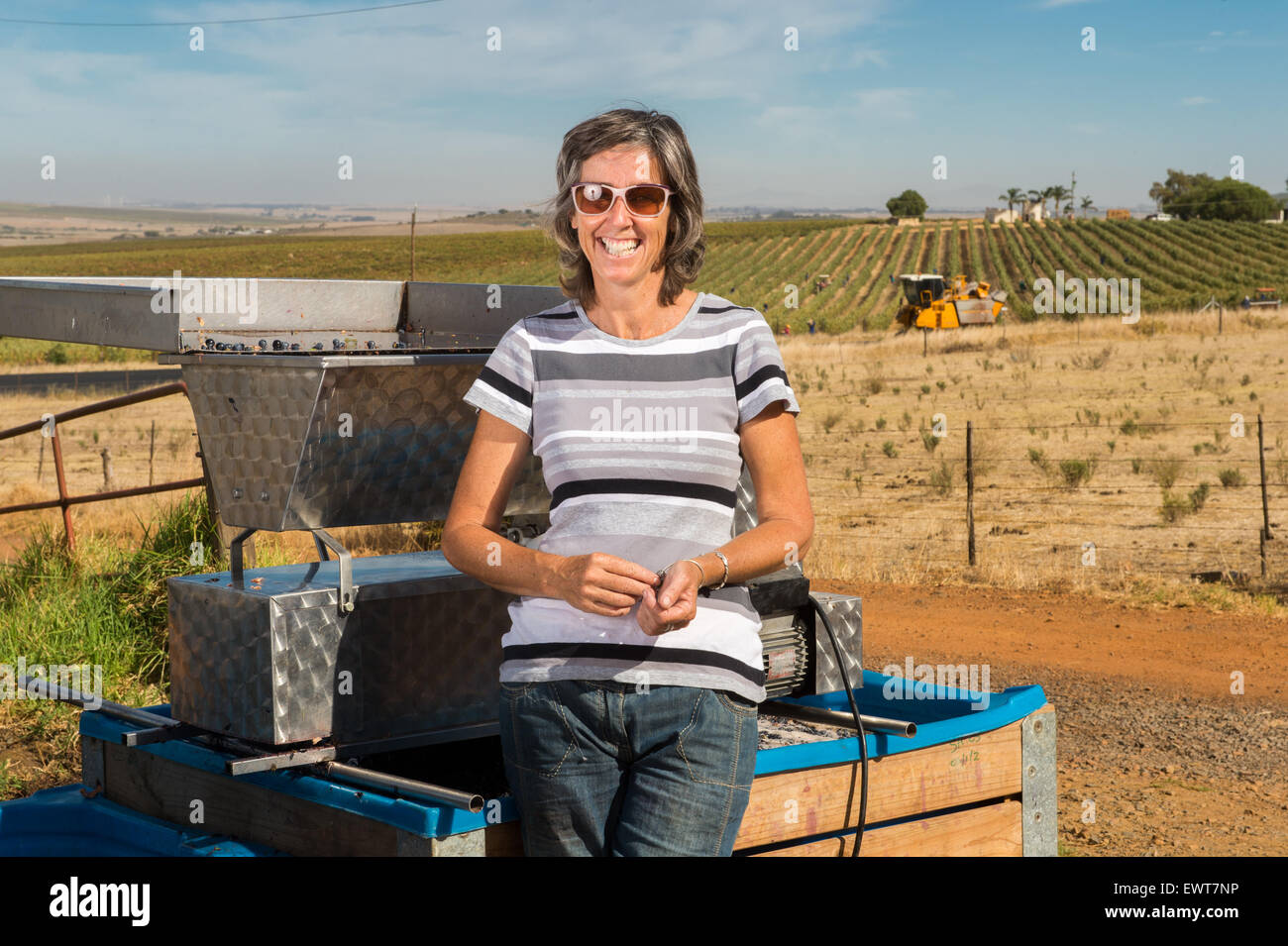 Donna che fa il vino sul suo vigneto in Stellenbosch, Sud Africa Foto Stock