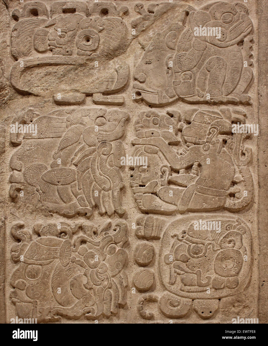 Architrave in pietra calcarea 48 da Yaxchilan, Chiapas, Messico che registra una data fine periodo classico ANNUNCIO 600-900 Foto Stock