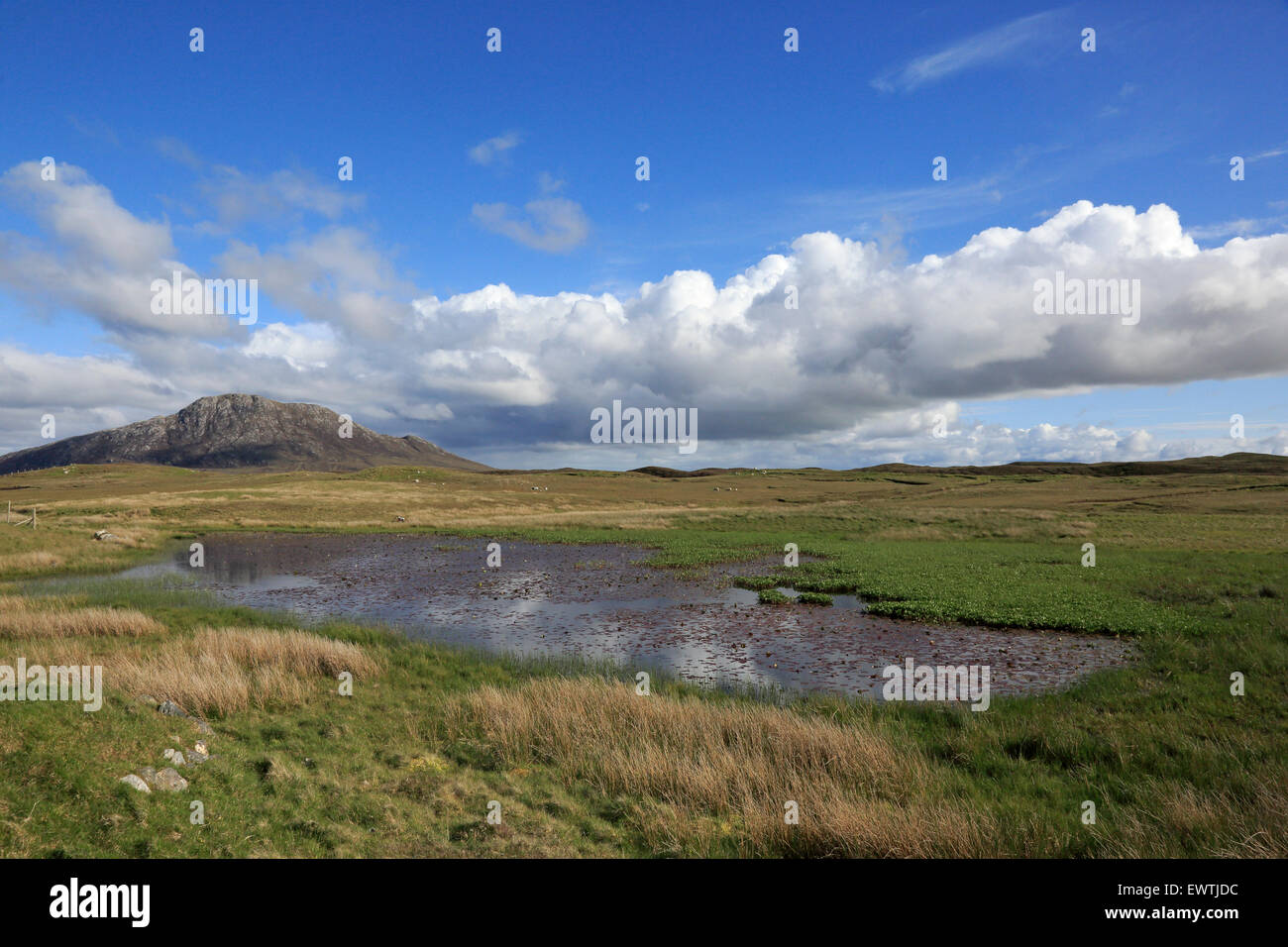 Vista di Eaval attraverso un piccolo Lochan su North Uist Ebridi Esterne Foto Stock