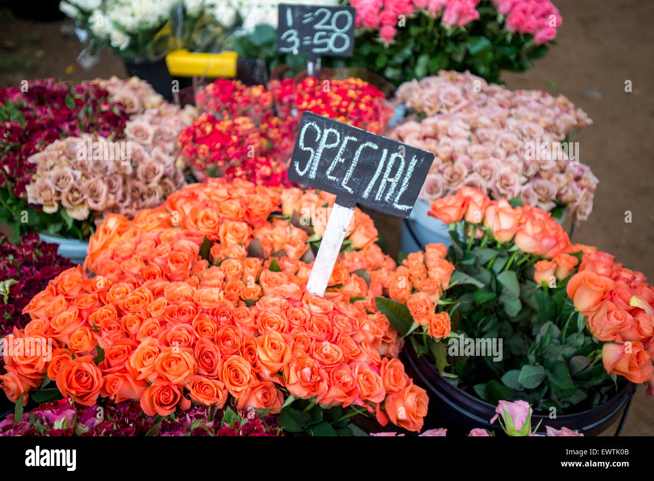 Sud Africa- Fiori per la vendita al mercato degli agricoltori di Pretoria Foto Stock