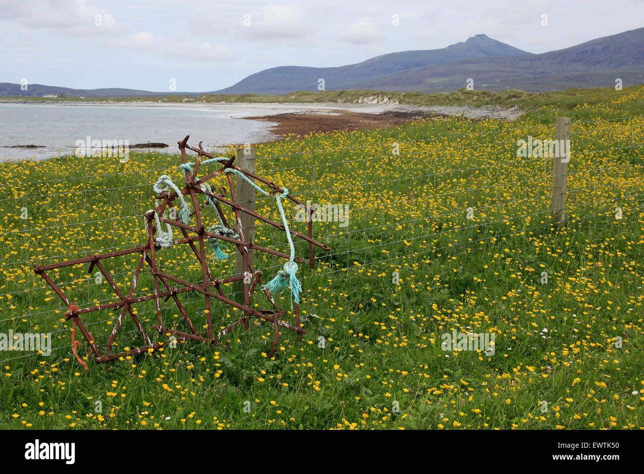 Aratro arrugginito puntellato contro un recinto sul Machair sul Uists Ebridi Esterne Foto Stock