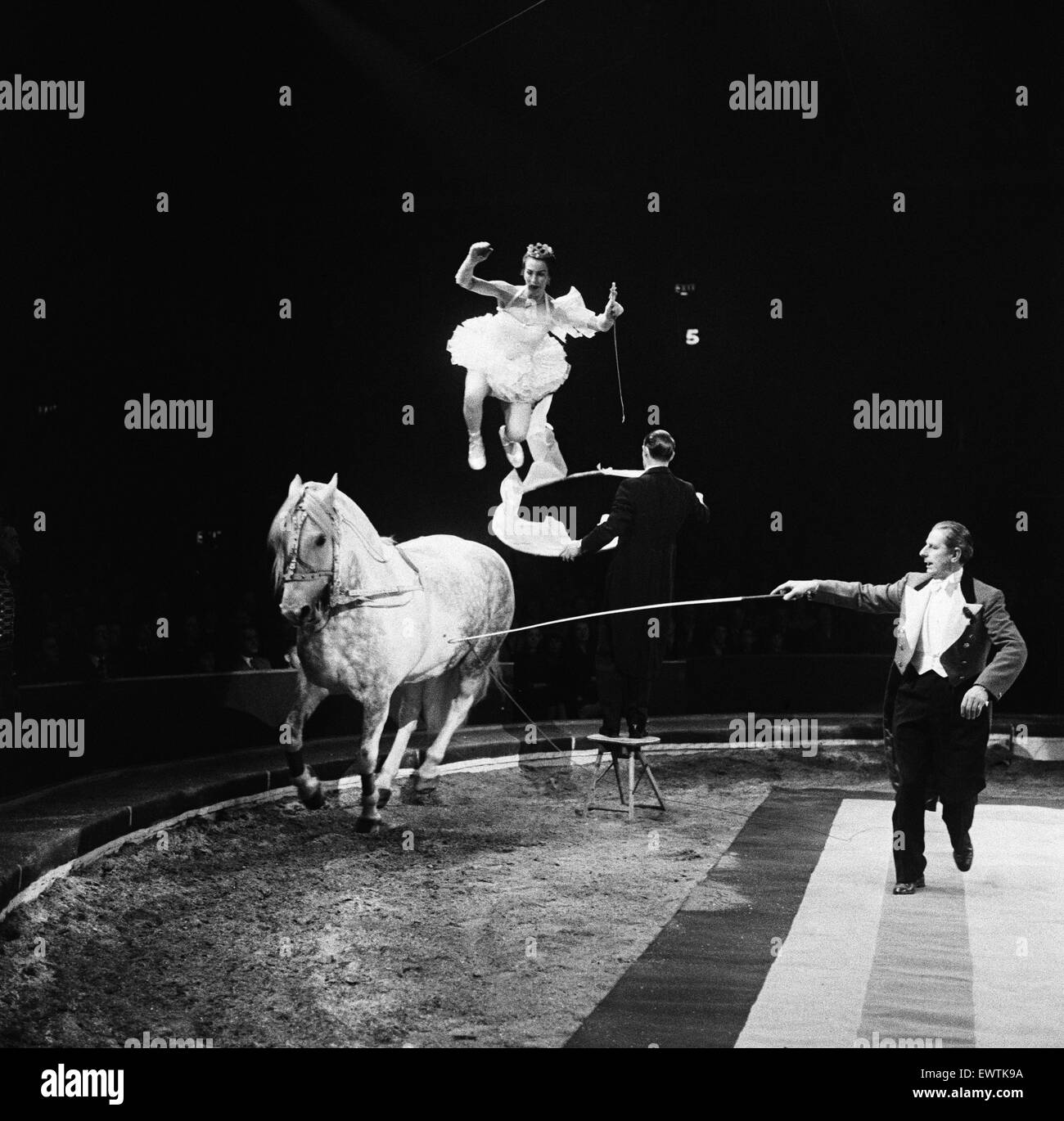 Bertram Mills Circus, una performance con un cavallo. 19 dicembre 1958. Foto Stock