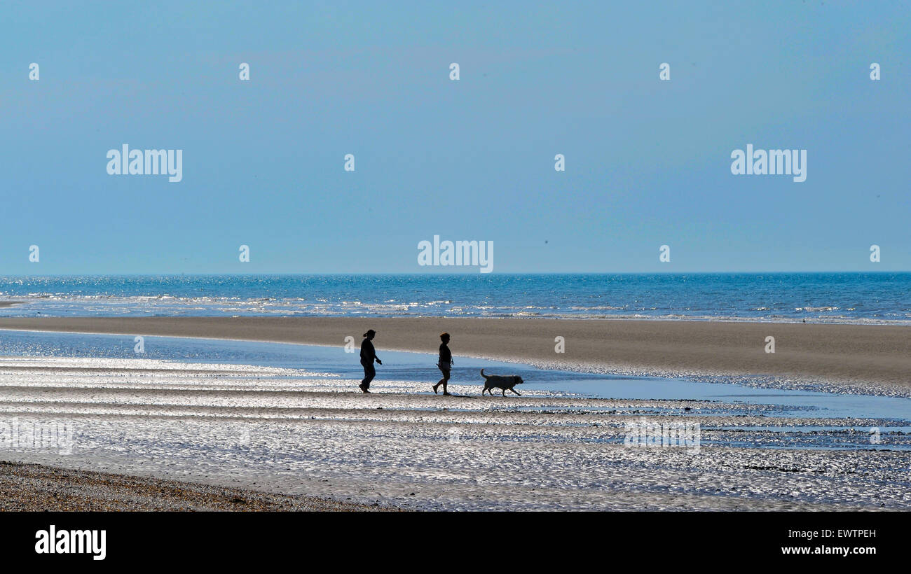 Camber Sands, East Sussex, mattino cane a camminare sulla spiaggia di Camber Sands, East Sussex. Foto Stock