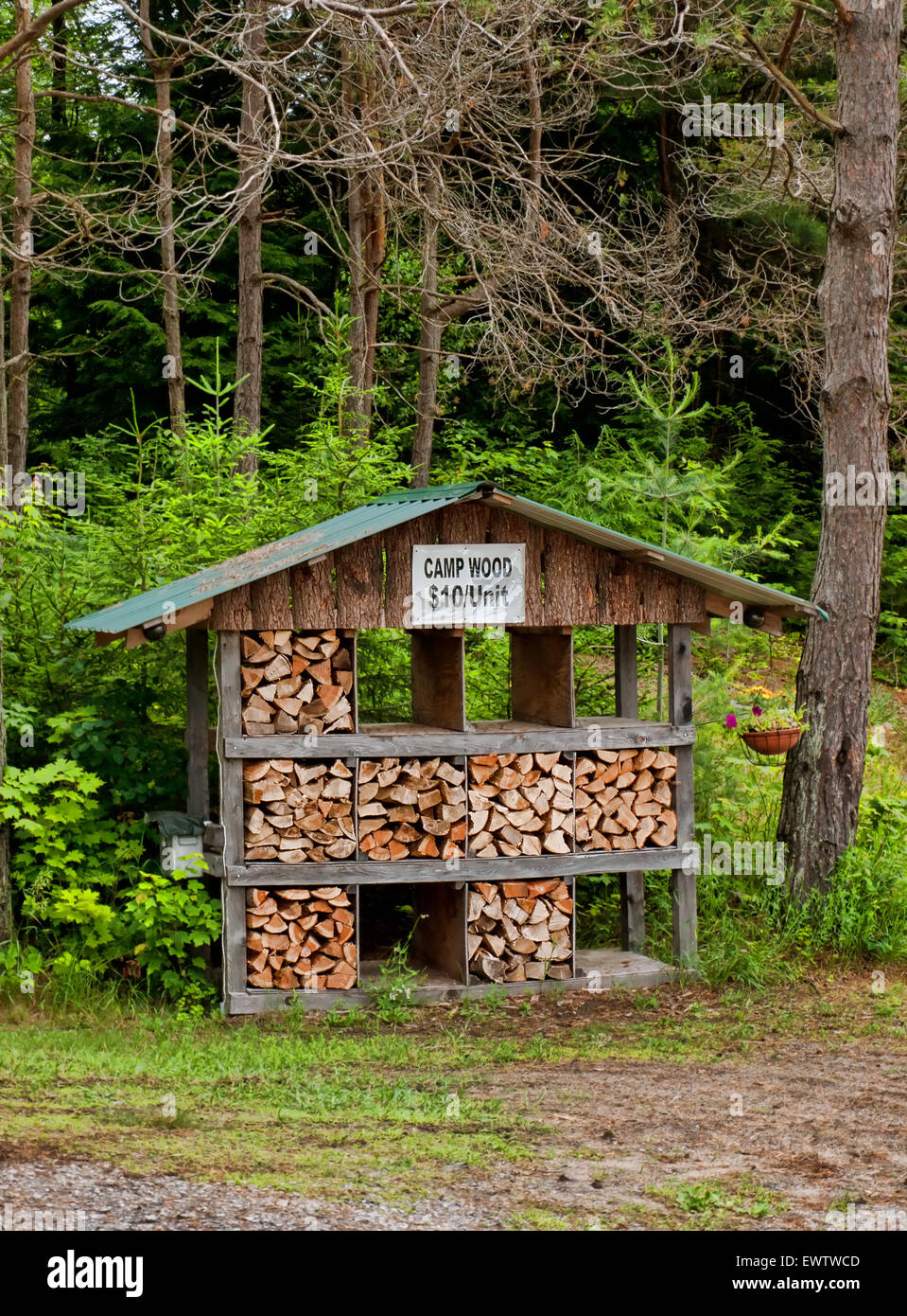 Il camp in legno per la vendita dal lato della strada nelle Montagne Adirondack, New York Foto Stock