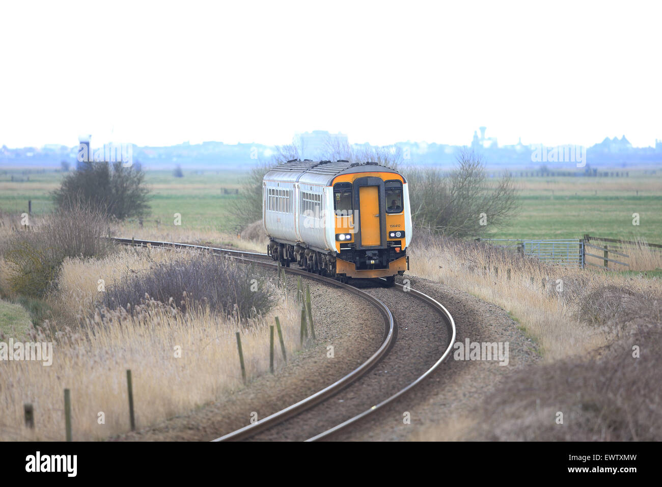 Maggiore Anglia tarabuso linea treno di Norfolk Foto Stock