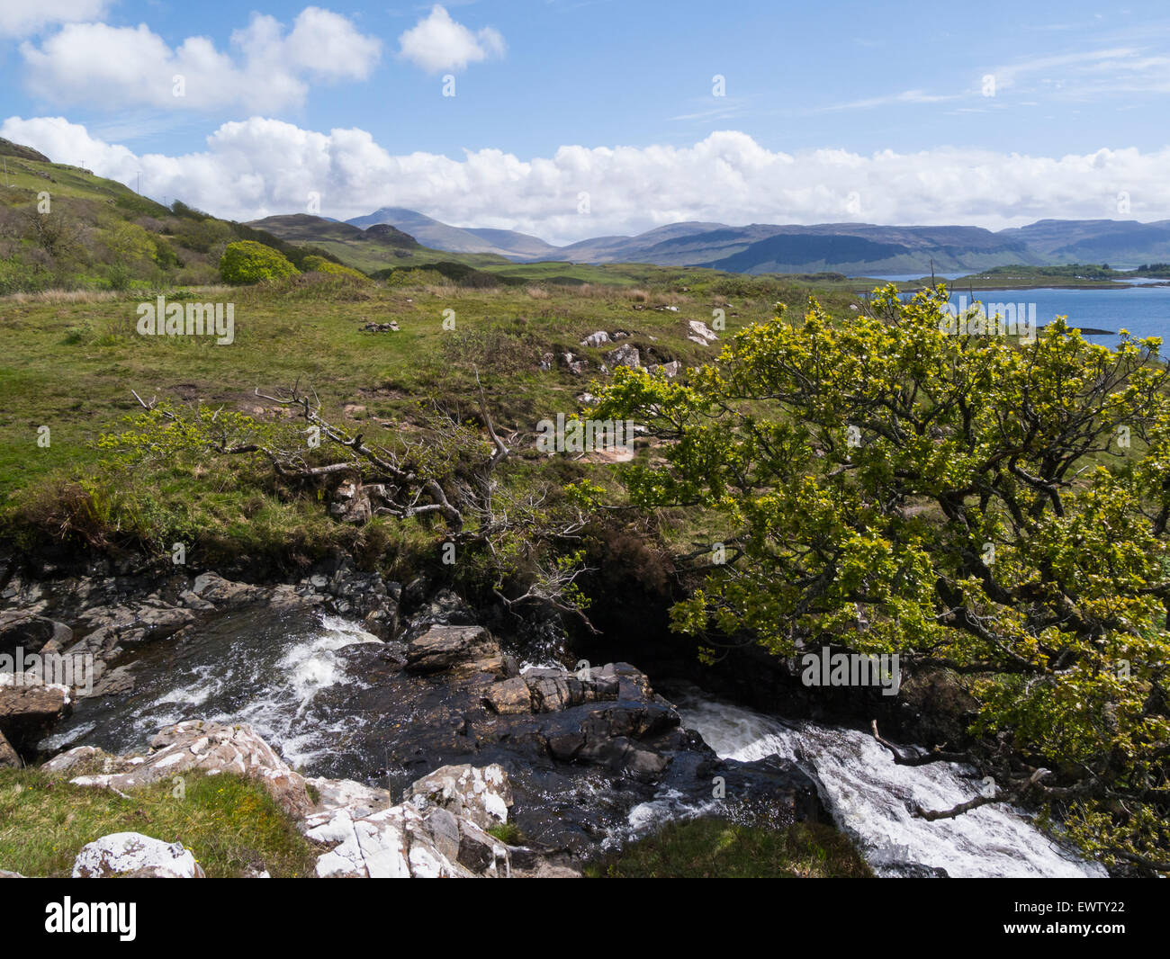 Eas Fors cascata inferiore Allt un Eas Fors Isle of Mull Argyll and Bute Scozia la finale cade immergersi 100ft su scogliere in Loch Tuarth Foto Stock