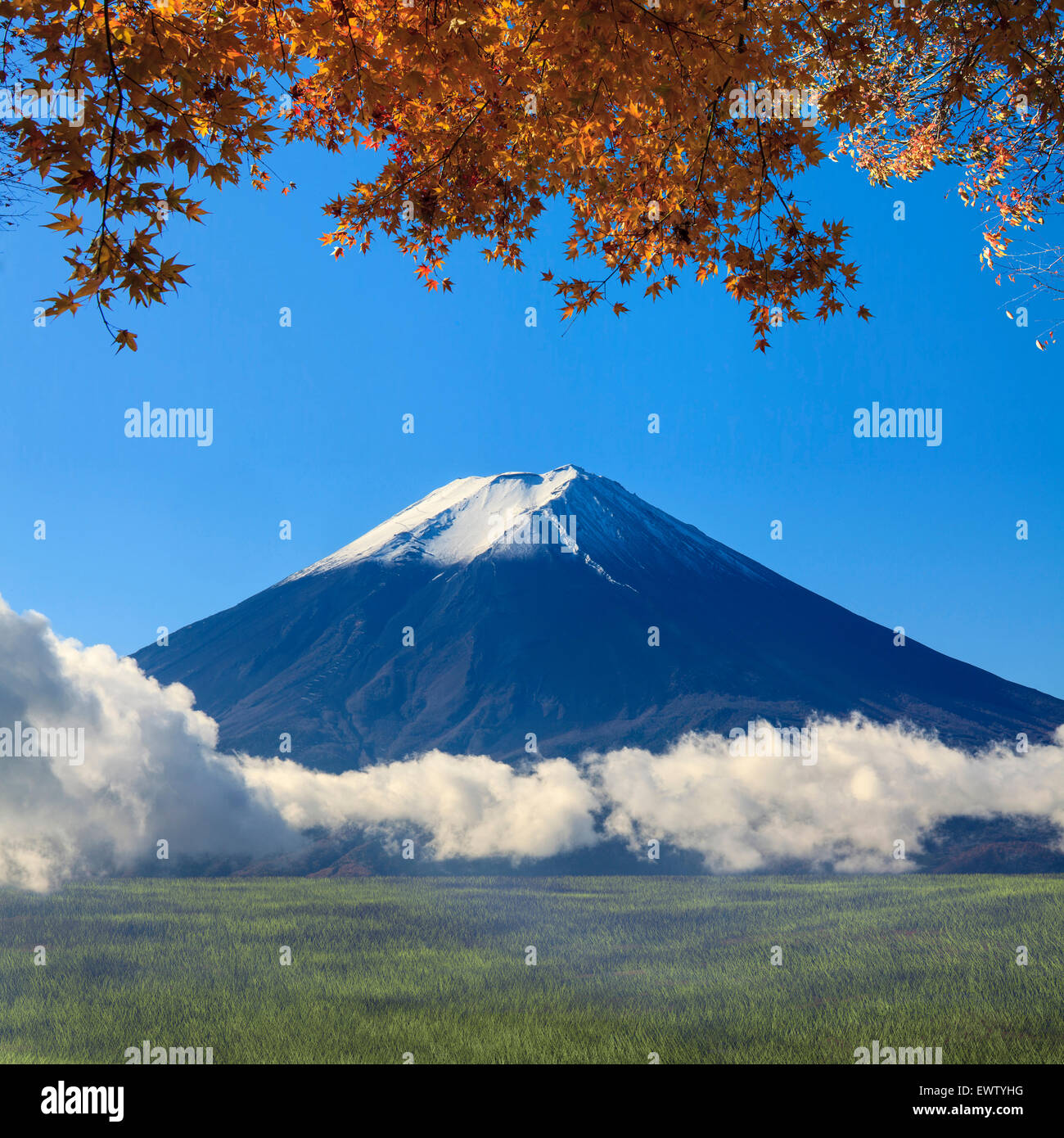 Immagine della montagna sacra di Fuji in background in Giappone per adv o altri usi Foto Stock