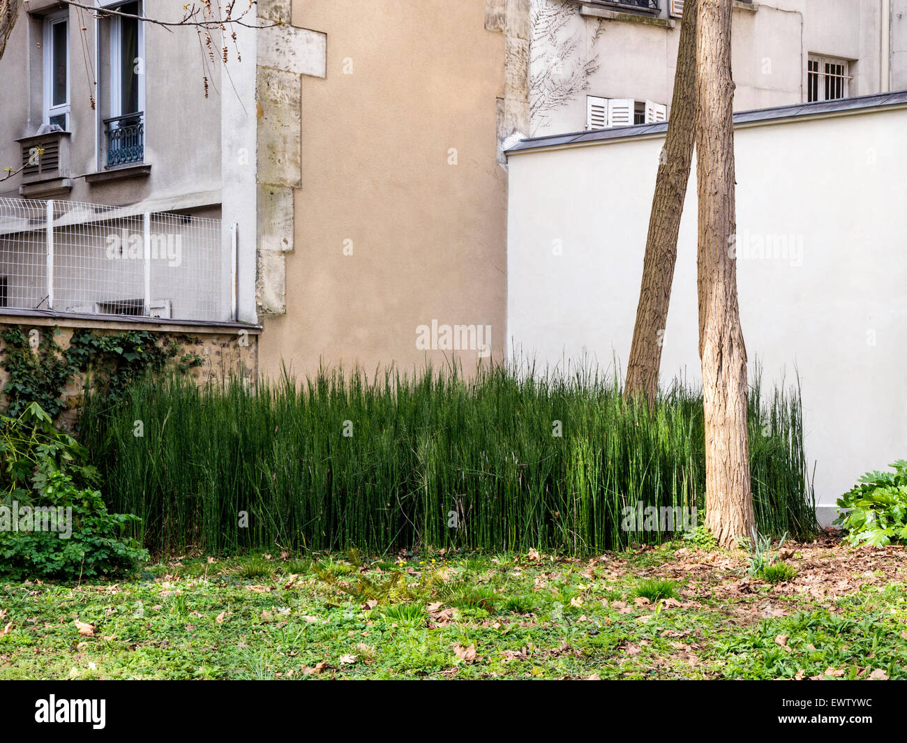 Fondation Cartier pour l'art contemporain, Fondazione Cartier galleria d'arte contemporanea giardino, Theatrum Botanicum, Parigi. Foto Stock