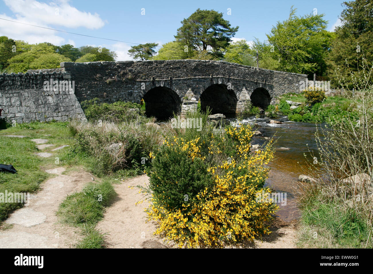 Fiume Exe gorse bush Postbridge Dartmoor Devon England Regno Unito Foto Stock