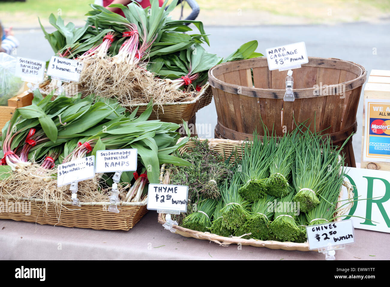 Le rampe e le erbe sul display in un mercato degli agricoltori, Hastings-su-Hudson, NY, STATI UNITI D'AMERICA Foto Stock