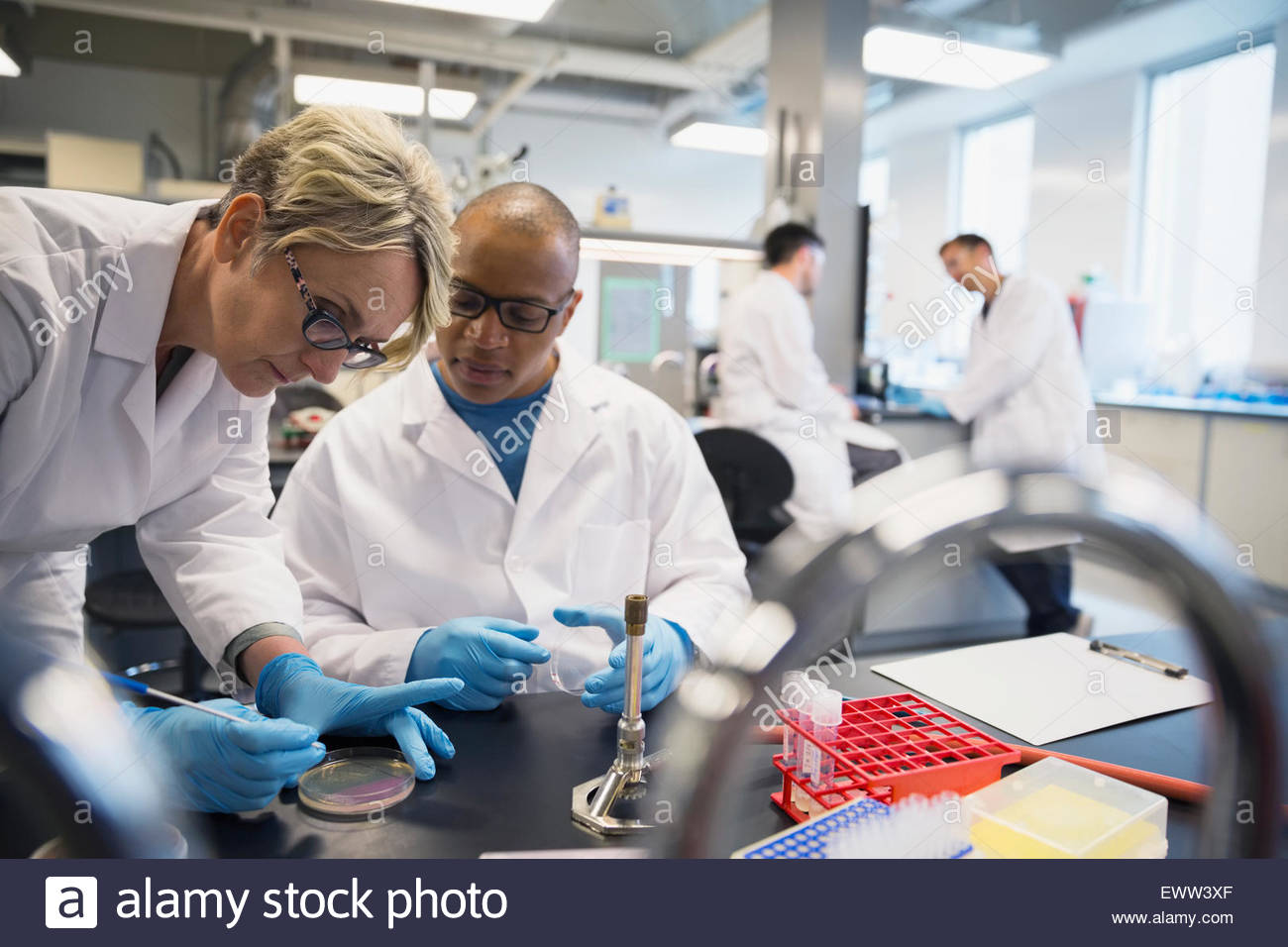 Gli scienziati condurre esperimenti scientifici in laboratorio Foto Stock