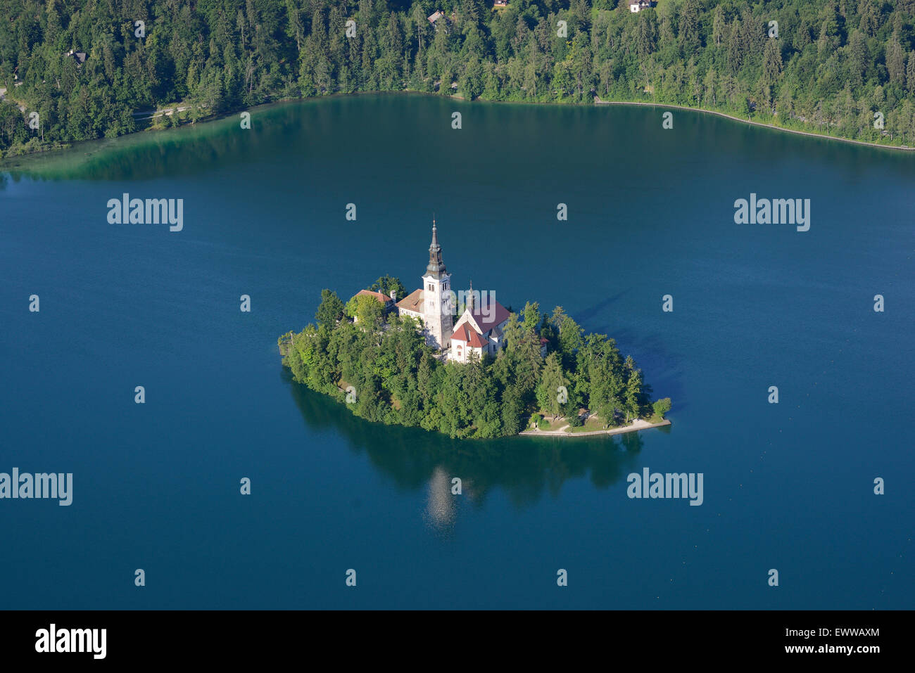 VISTA AEREA. Isola di Bled sul lago di Bled. Bled, alta Carniola, Slovenia. Foto Stock