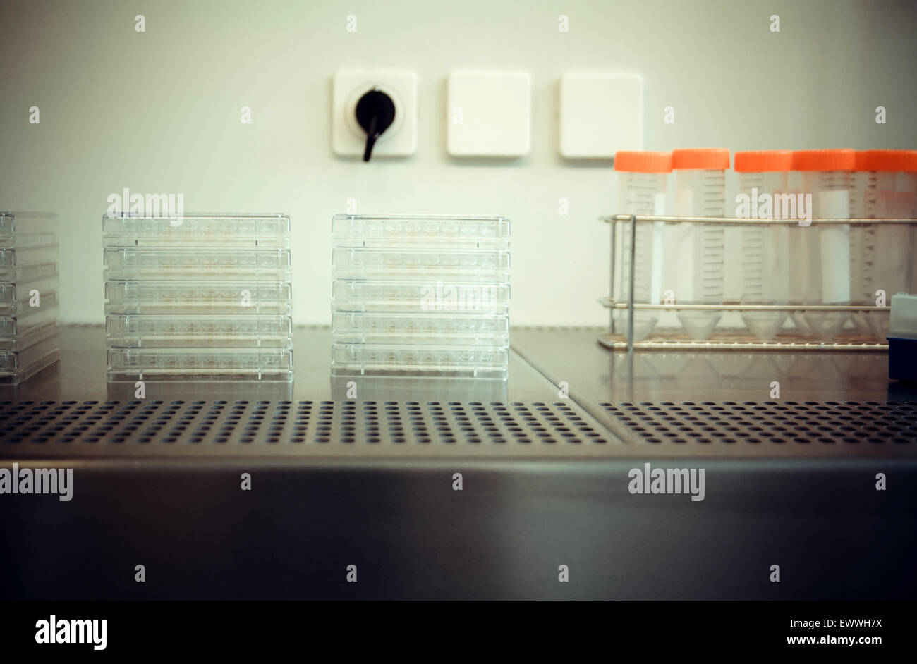 Piastra a cavità multiple nella casella flusso come sfondo, soft focus Foto Stock
