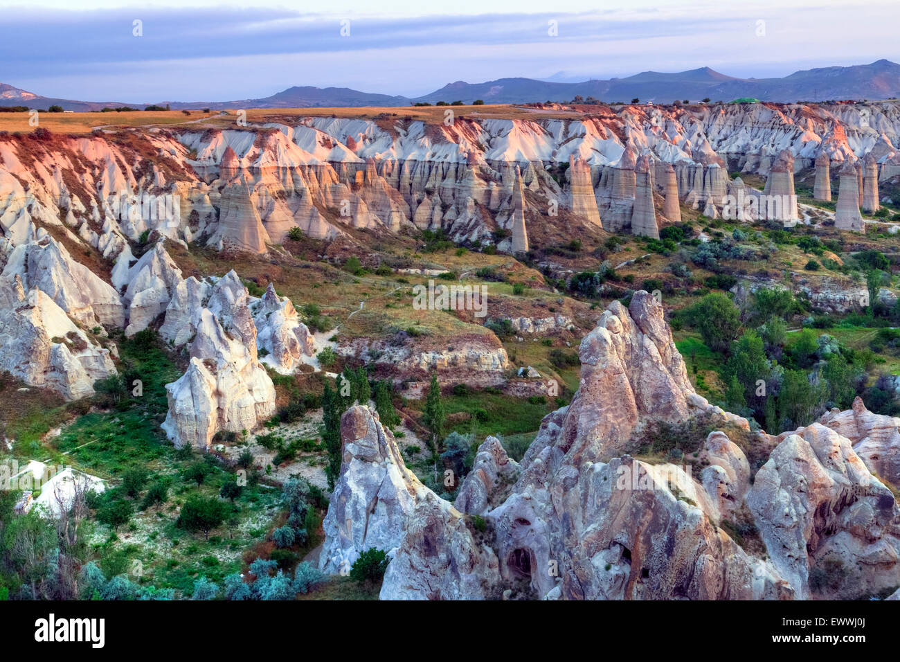 Amore e Valle Bianca Valle in Cappadocia, Anatolia, Turchia Foto Stock